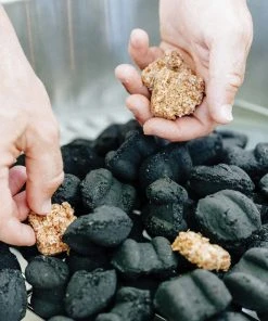 Firepits & Stoves Solo Stove All Natural Charcoal 4 Pack