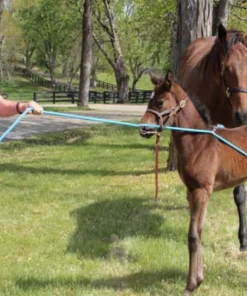 Udderly EZ EZ BUCK-A-LONG TRAINING ROPE