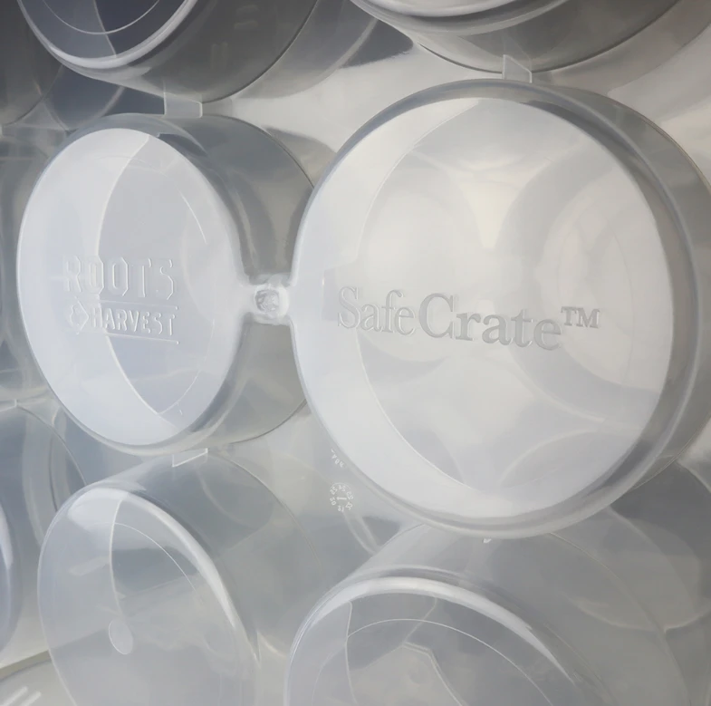 Food & Food Storage Roots & Harvest Safe Crate For Pint Jars 5 Food & Food Storage Roots & Harvest Safe Crate For Pint Jars