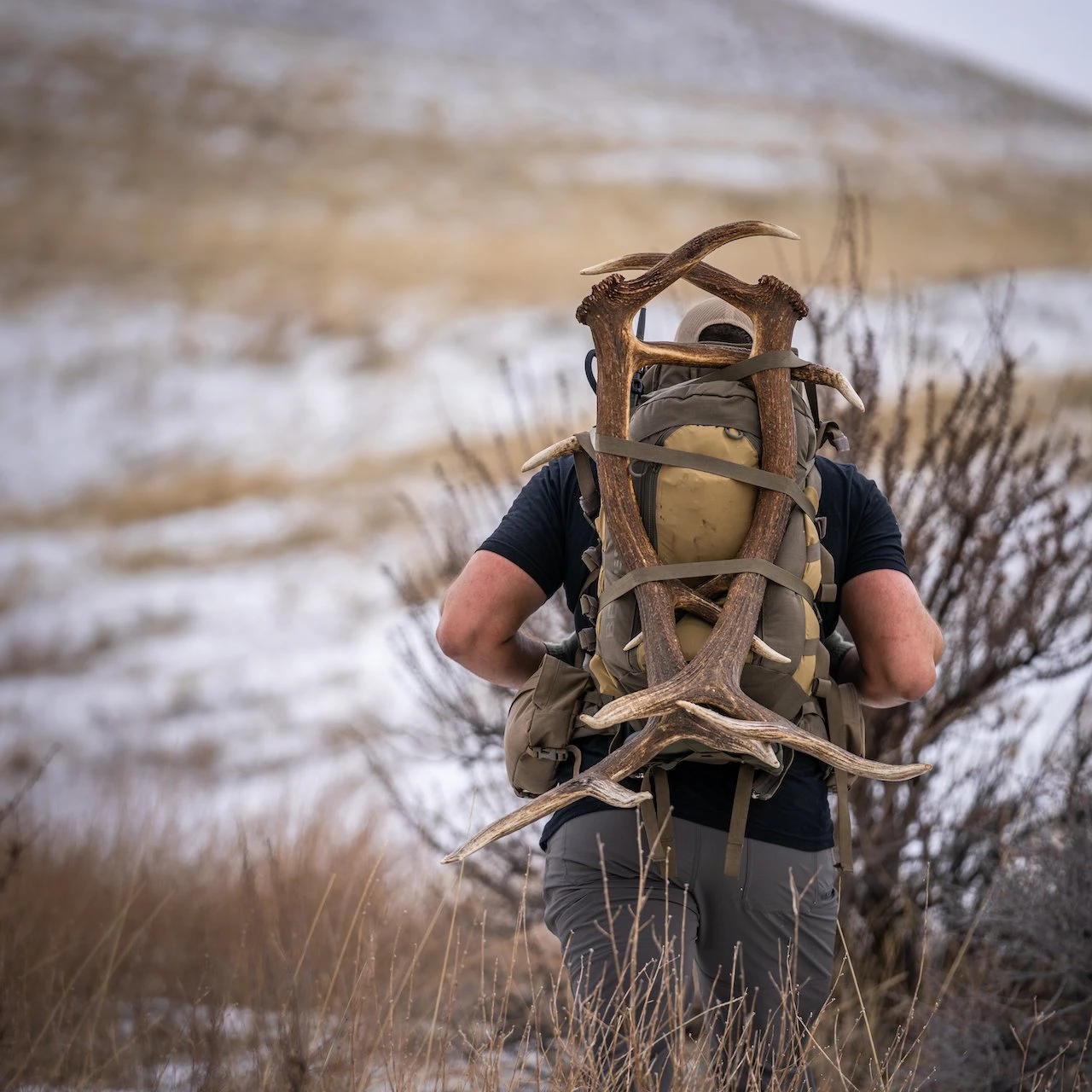 EBERLESTOCK VAPOR 2500 - MAINFRAME COMPATIBLE 10 EBERLESTOCK VAPOR 2500 - MAINFRAME COMPATIBLE