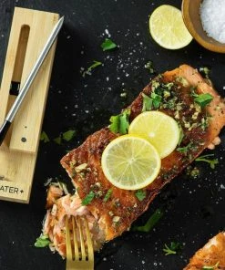 TRAEGER MEATER PLUS WIRELESS MEAT THERMOMETER Traeger Accessories