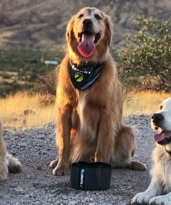 Klymit Travel Dog Bowl Dogs