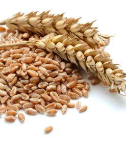 Augason Farms Hard White Wheat